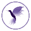Hummingbird Finance (Old) logo