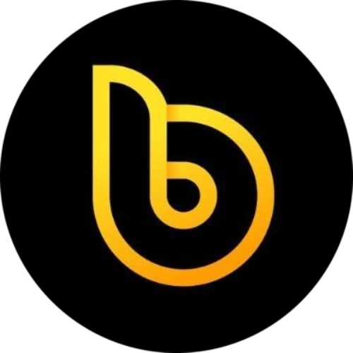 bDollar logo
