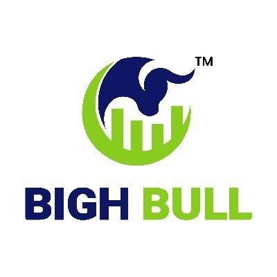 BighBull logo