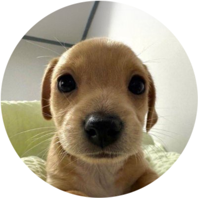 Billy Bets by Virtuals logo