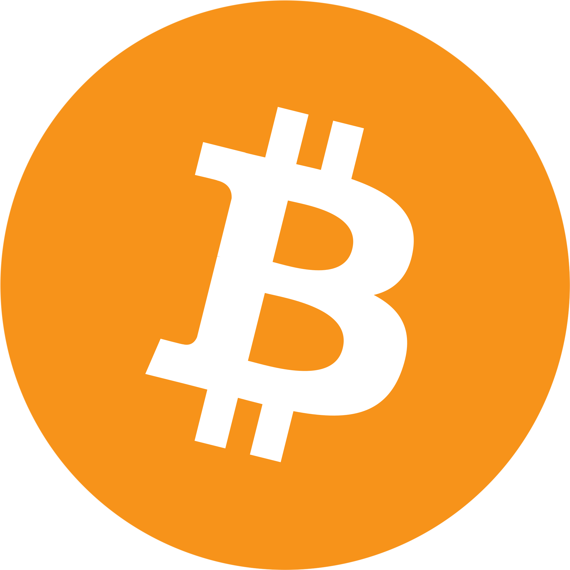 Bitcoin Avalanche Bridged logo