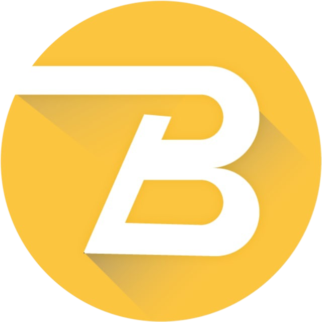 BSC PAYMENTS logo