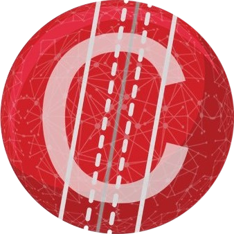 Cricket Foundation logo