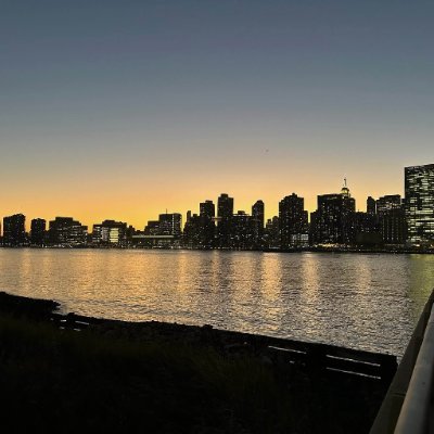 Dog shit going nowhere logo