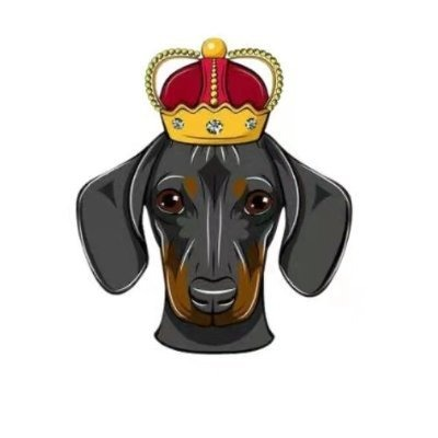 DogeKing logo