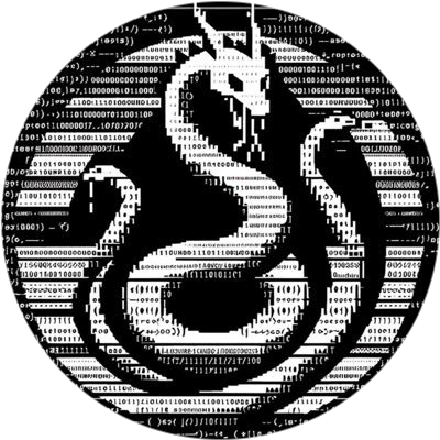 H1DR4 by Virtuals logo