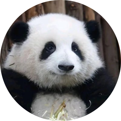 HUA HUA | 花花 logo