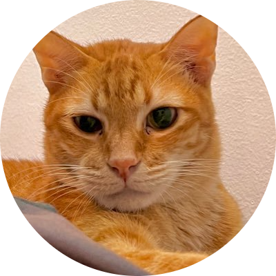 Mack the Meowing Cat logo