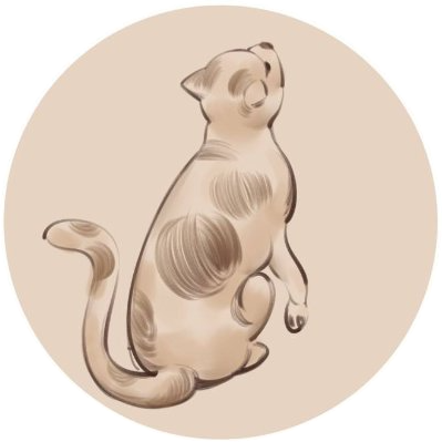 Madonna del gatto logo