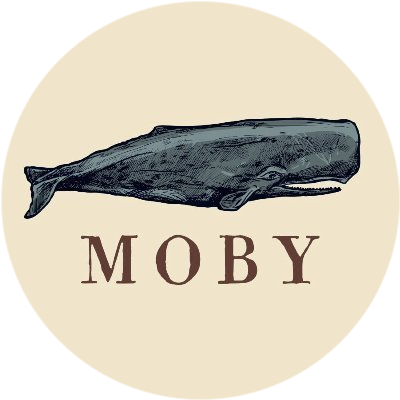 Moby AI logo