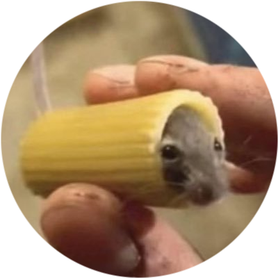 Mouse In Pasta logo