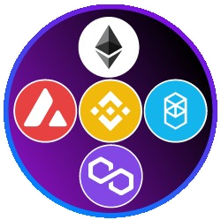 Multiverse Capital logo