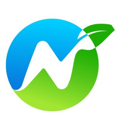 NetZero logo