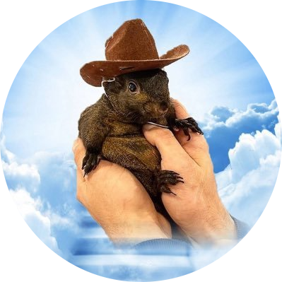 Peanut #1 Tiktok Squirrel logo