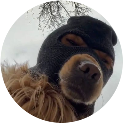 SKI MASK DOG logo