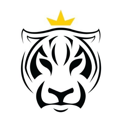 Tiger King Coin logo