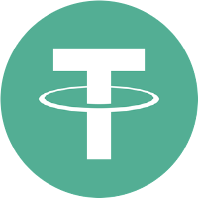 TON Bridged USDT logo
