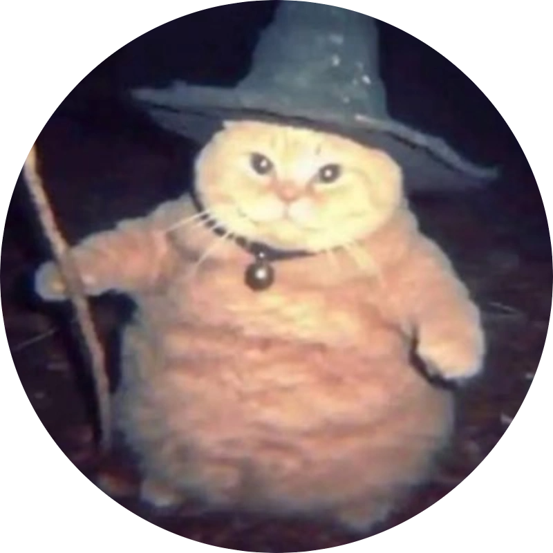 Wizard Cat logo